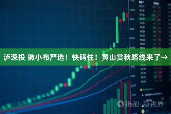 泸深投 徽小布严选！快码住！黄山赏秋路线来了→
