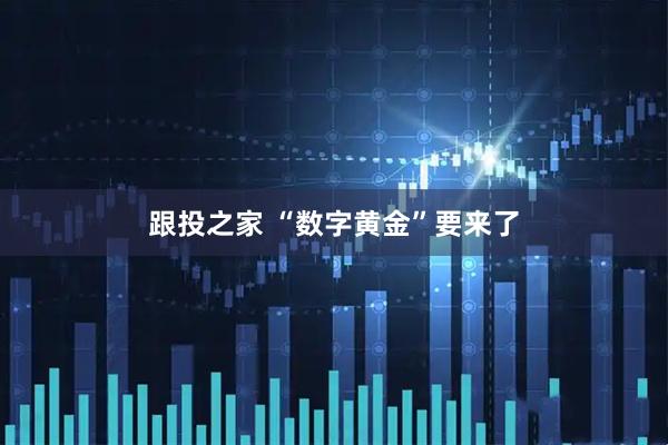 跟投之家 “数字黄金”要来了