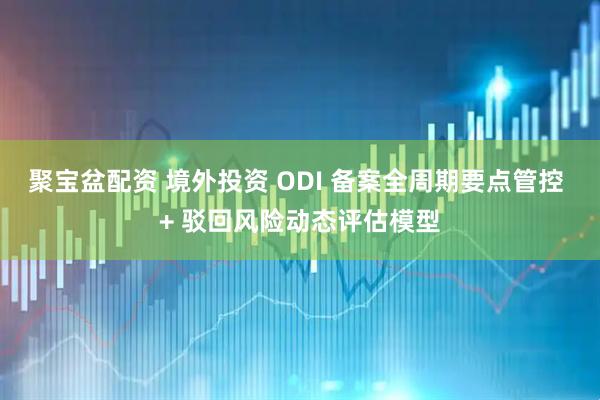 聚宝盆配资 境外投资 ODI 备案全周期要点管控 + 驳回风险动态评估模型
