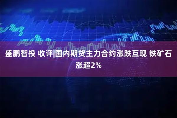 盛鹏智投 收评|国内期货主力合约涨跌互现 铁矿石涨超2%