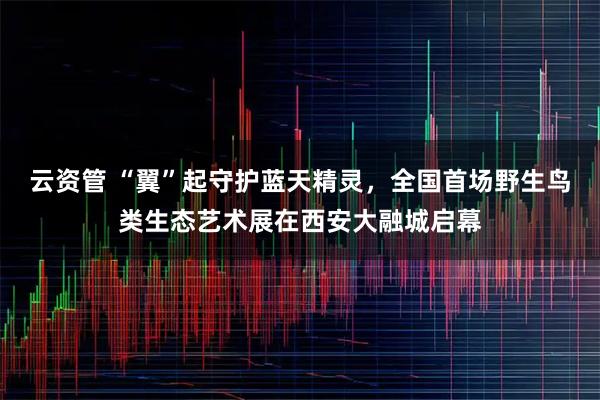 云资管 “翼”起守护蓝天精灵，全国首场野生鸟类生态艺术展在西安大融城启幕