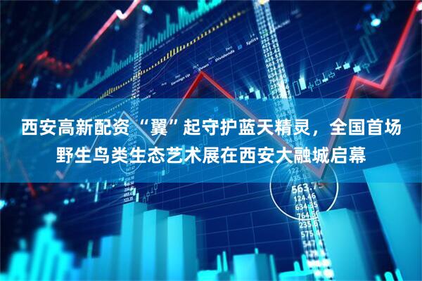 西安高新配资 “翼”起守护蓝天精灵，全国首场野生鸟类生态艺术展在西安大融城启幕