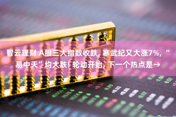 智云理财 A股三大指数收跌, 寒武纪又大涨7%, “易中天”均大跌! 轮动开始, 下一个热点是→