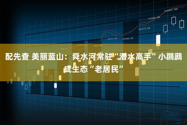 配先查 美丽蓝山：舜水河常驻“潜水高手”小鸊鷉成生态“老居民”
