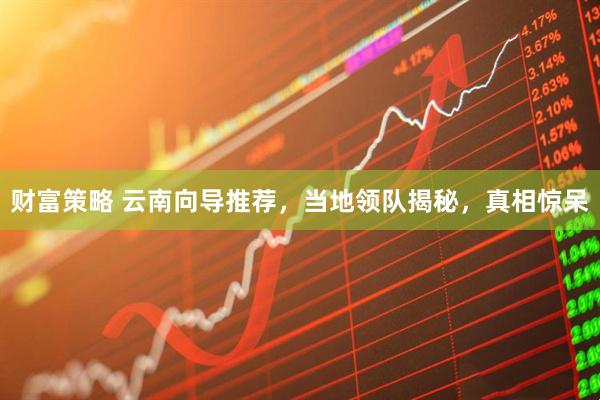 财富策略 云南向导推荐，当地领队揭秘，真相惊呆