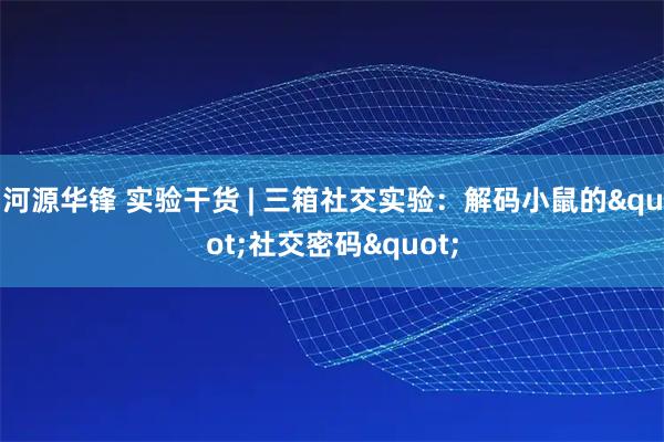 河源华锋 实验干货 | 三箱社交实验：解码小鼠的"社交密码"