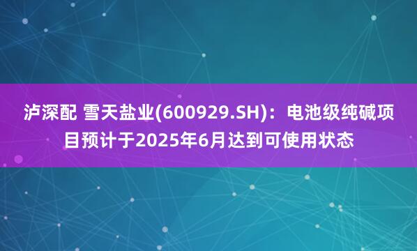 泸深配 雪天盐业(600929.SH)：电池级纯碱项目预计于2025年6月达到可使用状态