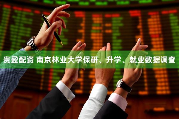 贵盈配资 南京林业大学保研、升学、就业数据调查
