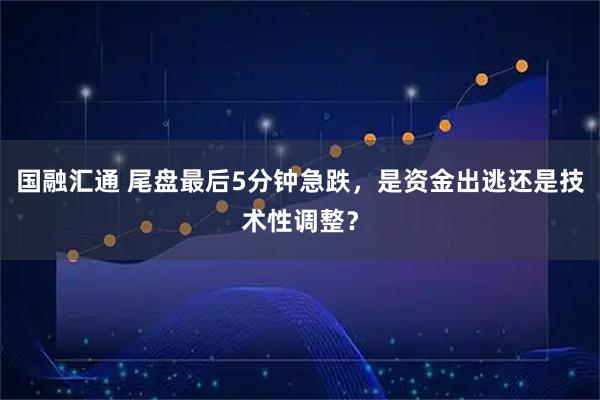 国融汇通 尾盘最后5分钟急跌，是资金出逃还是技术性调整？