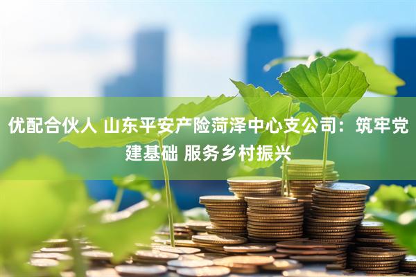 优配合伙人 山东平安产险菏泽中心支公司：筑牢党建基础 服务乡村振兴