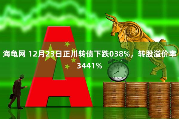 海龟网 12月23日正川转债下跌038%，转股溢价率3441%
