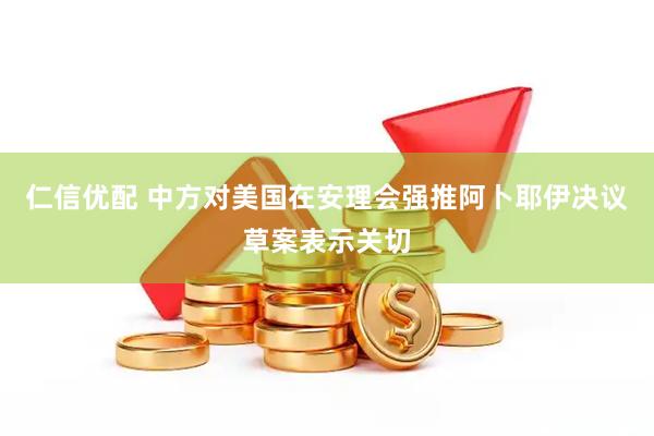 仁信优配 中方对美国在安理会强推阿卜耶伊决议草案表示关切